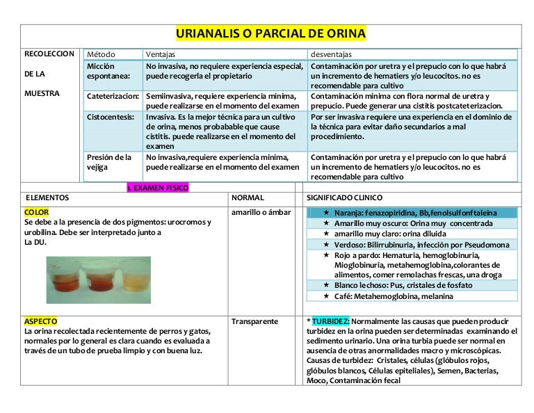 tipos de cristales en orina en gatos tipos de cristales en orina en gatos